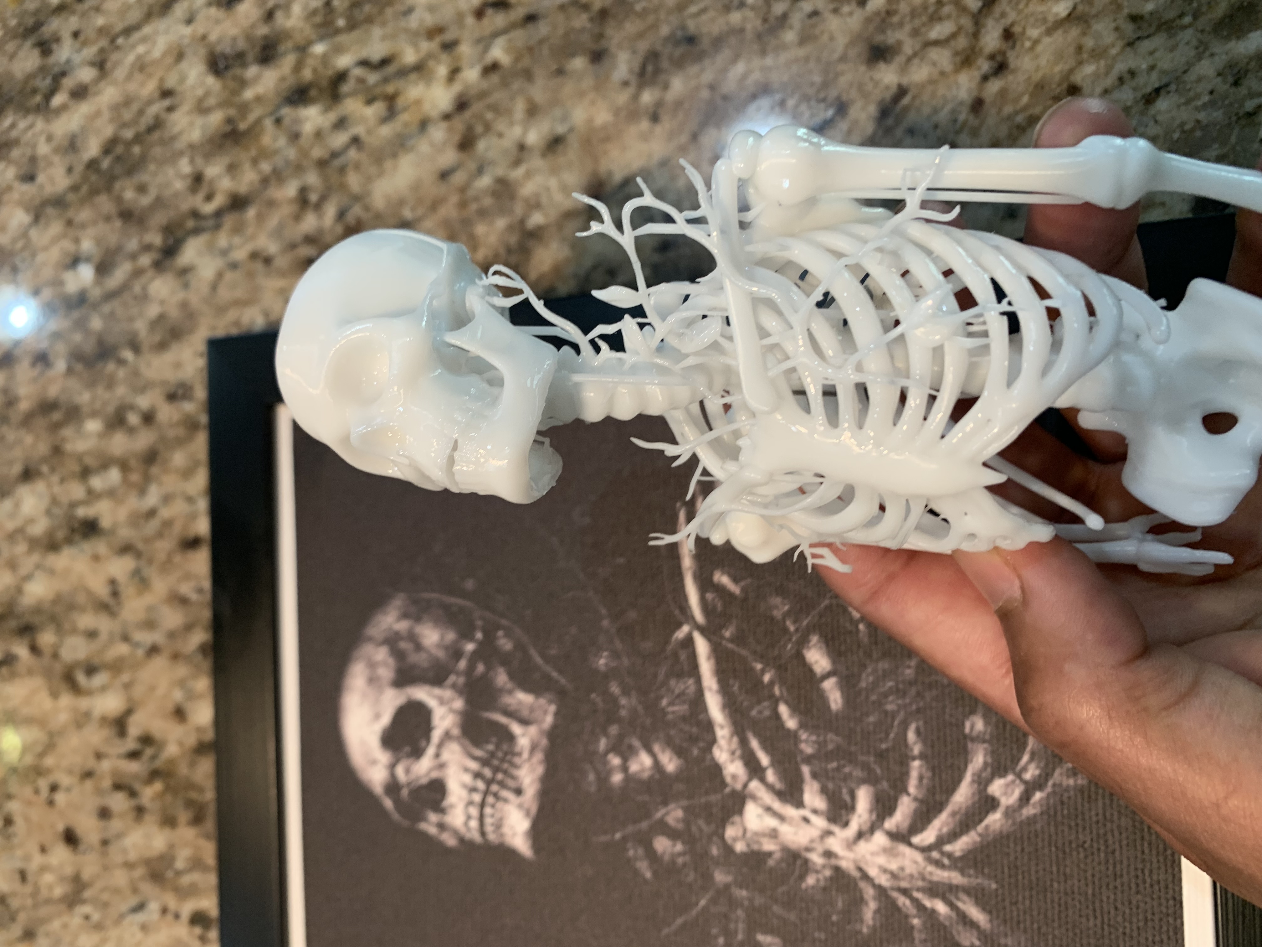 From a Framed Picture to... 3D model
