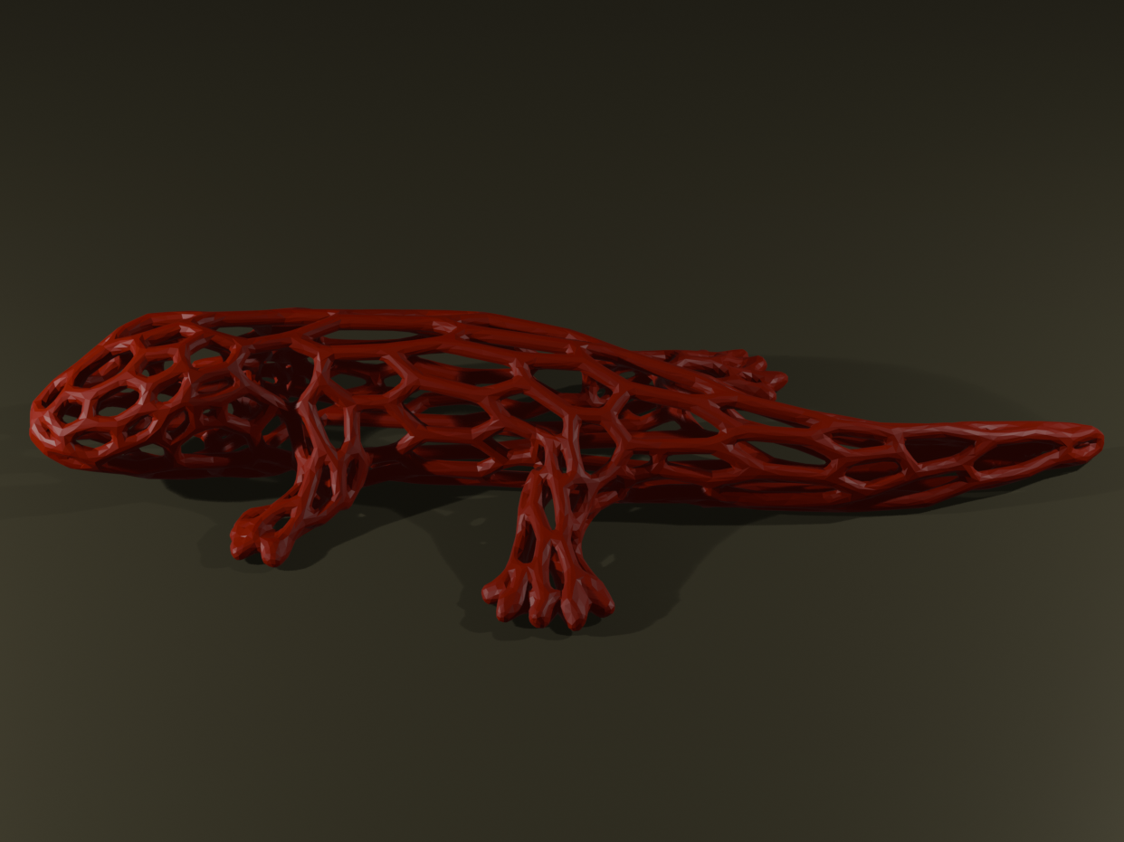 Salamander Voronoi