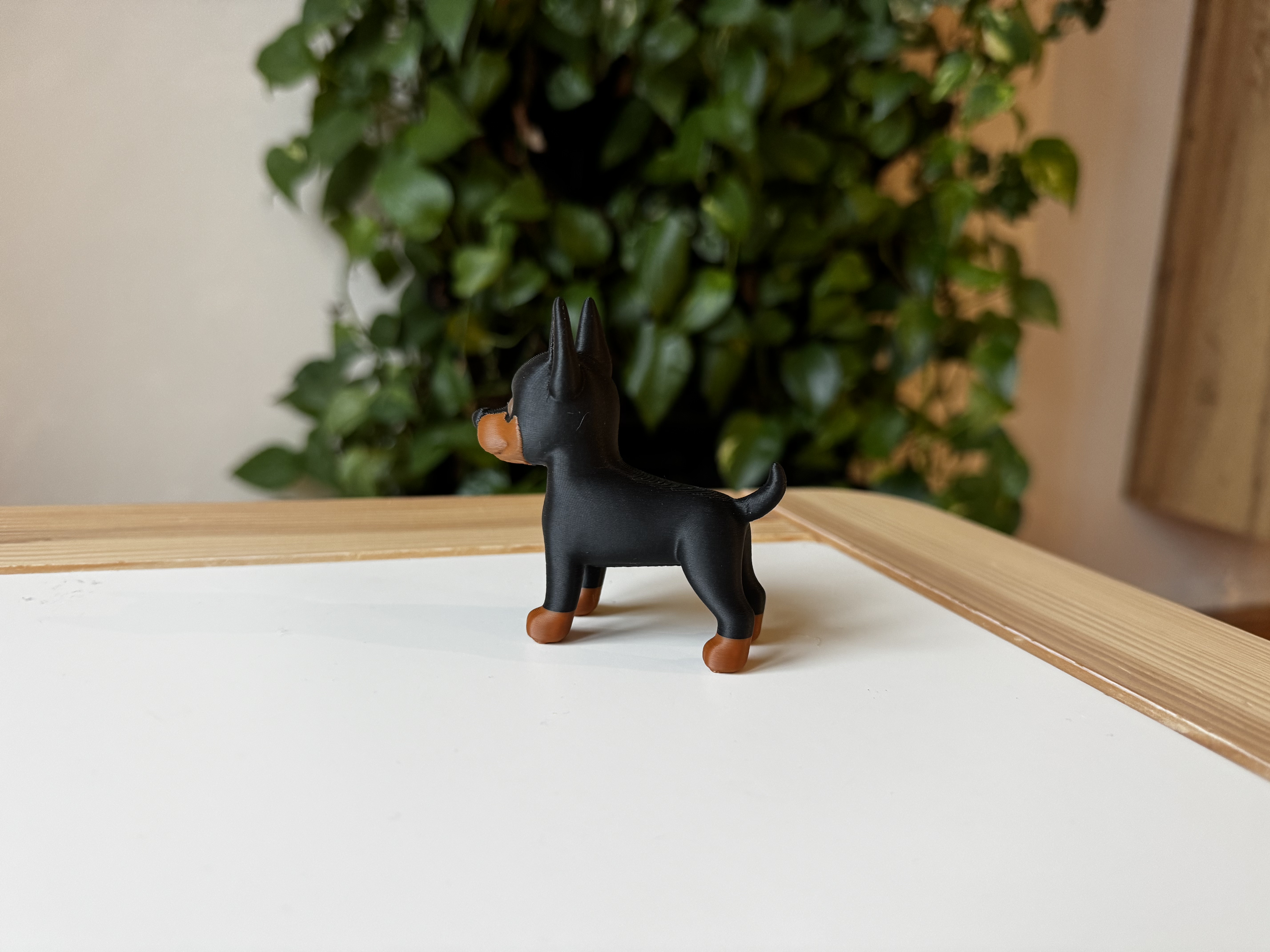 Miniatura 7 do modelo 3D Doberman Pinscher