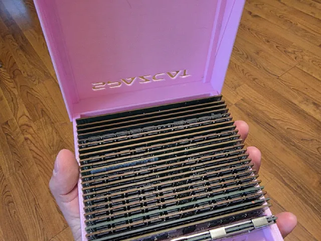 DIMM Memory RAM Module Case Storage