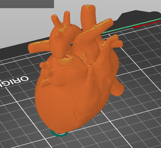 heart 3D model
