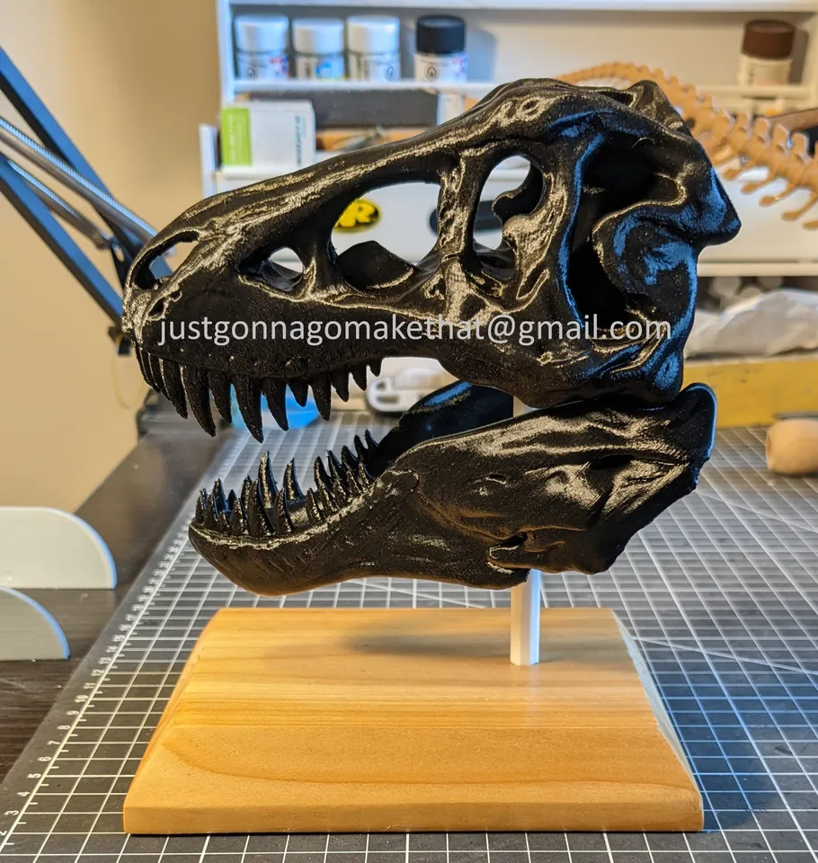Tyrannosaurus Skull Model ティラノサウルス Amazon.com: WLNTDOLA Tyrannosaurus Jane Skull Model Resin