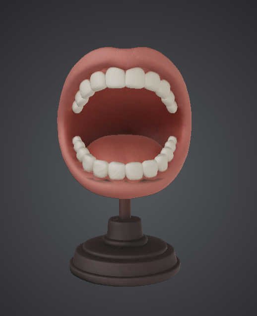 Open Mouth Bust Display Model – Detailed Teeth and Oral Anatomy Sculpture