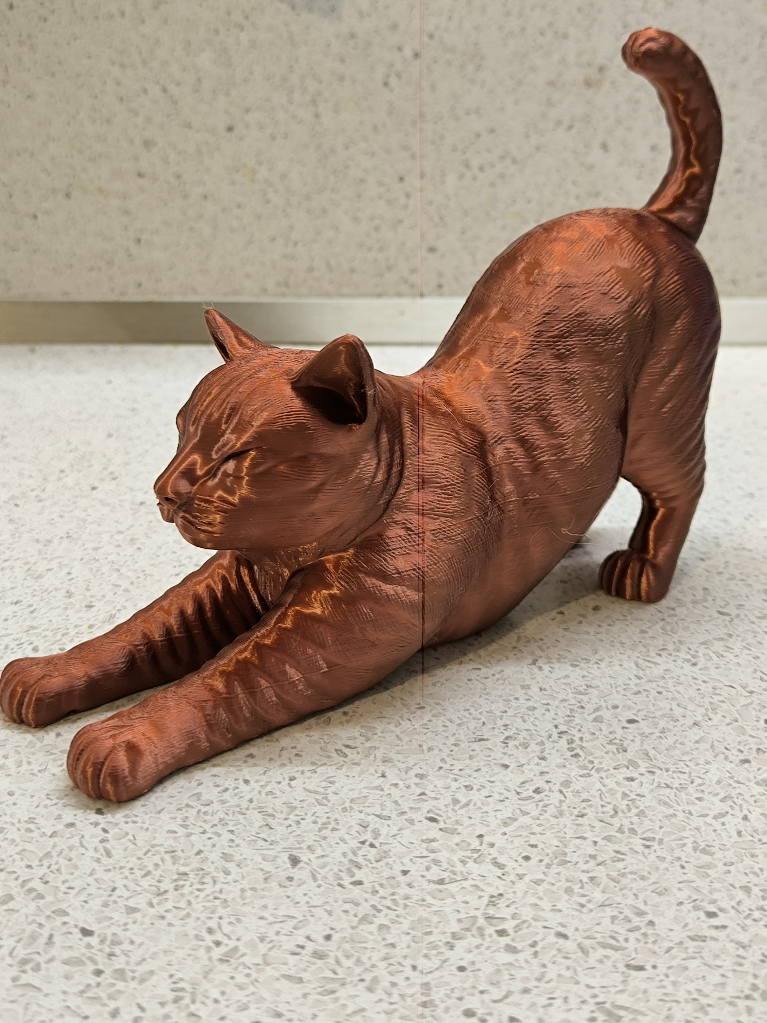 Stretching Cat — thumbnail 2