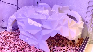 Reptiles Terrarium Hide LowPoly Rock Cave BIG