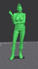 Image preview