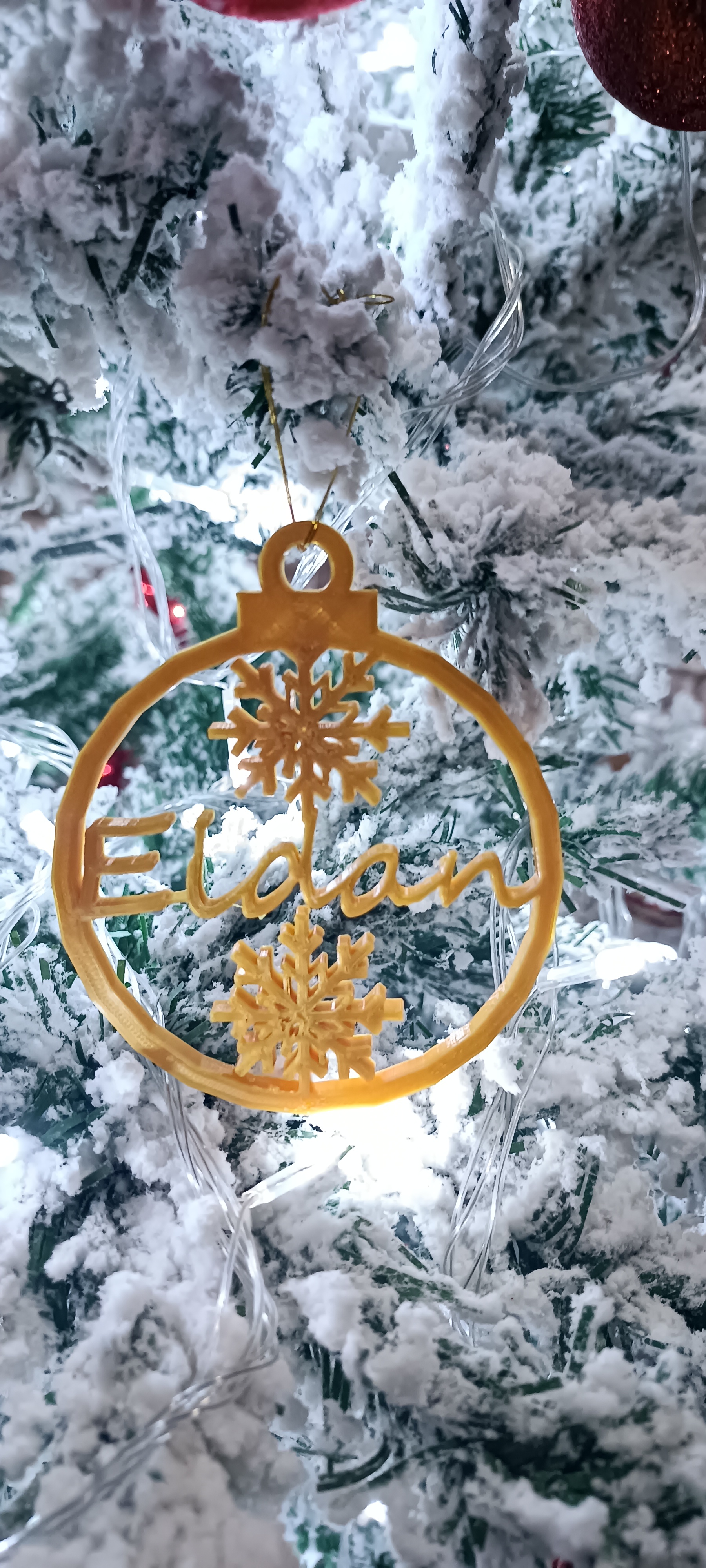 Eidan Adorno Navidad
