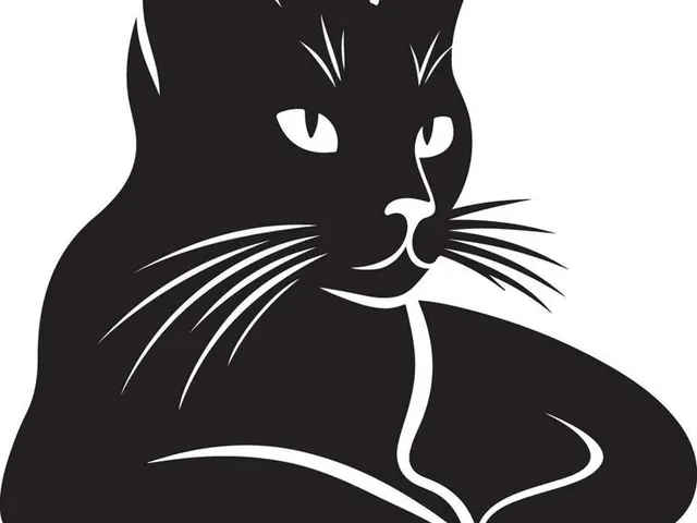 Black cat silhouette