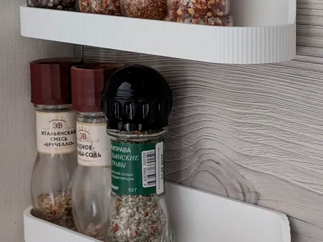 SPICES SHELF ORGANIZER