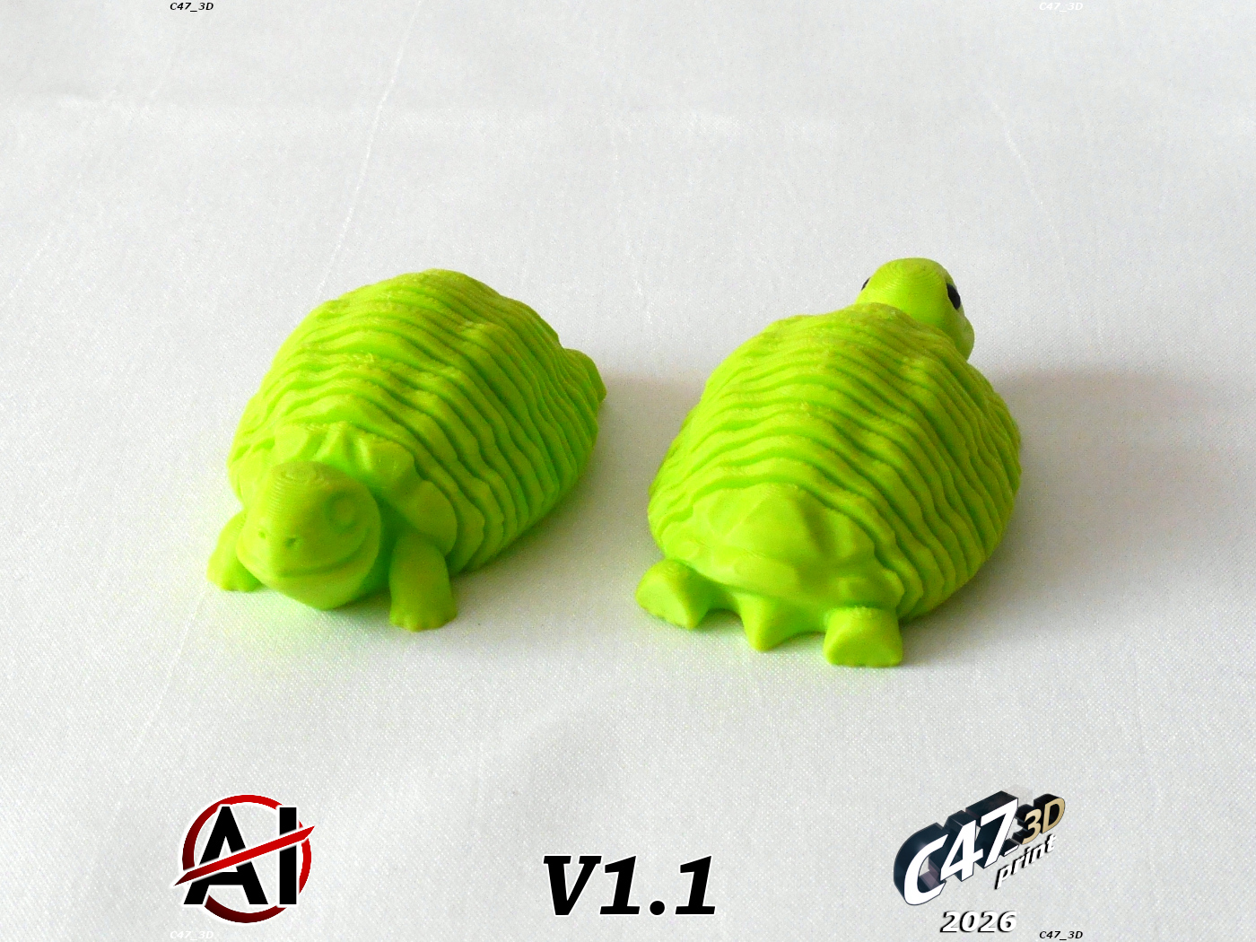 Springy Tortoise — miniatura 2