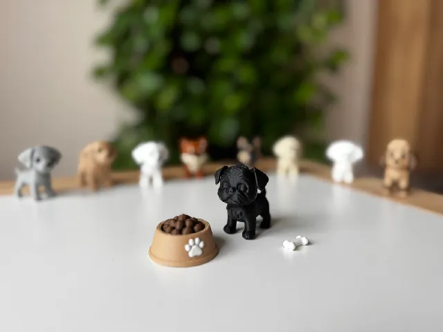 Affenpinscher