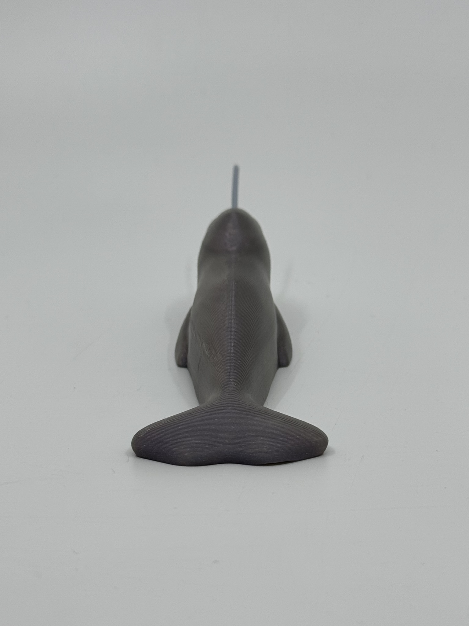 Narwhal — miniatura 2