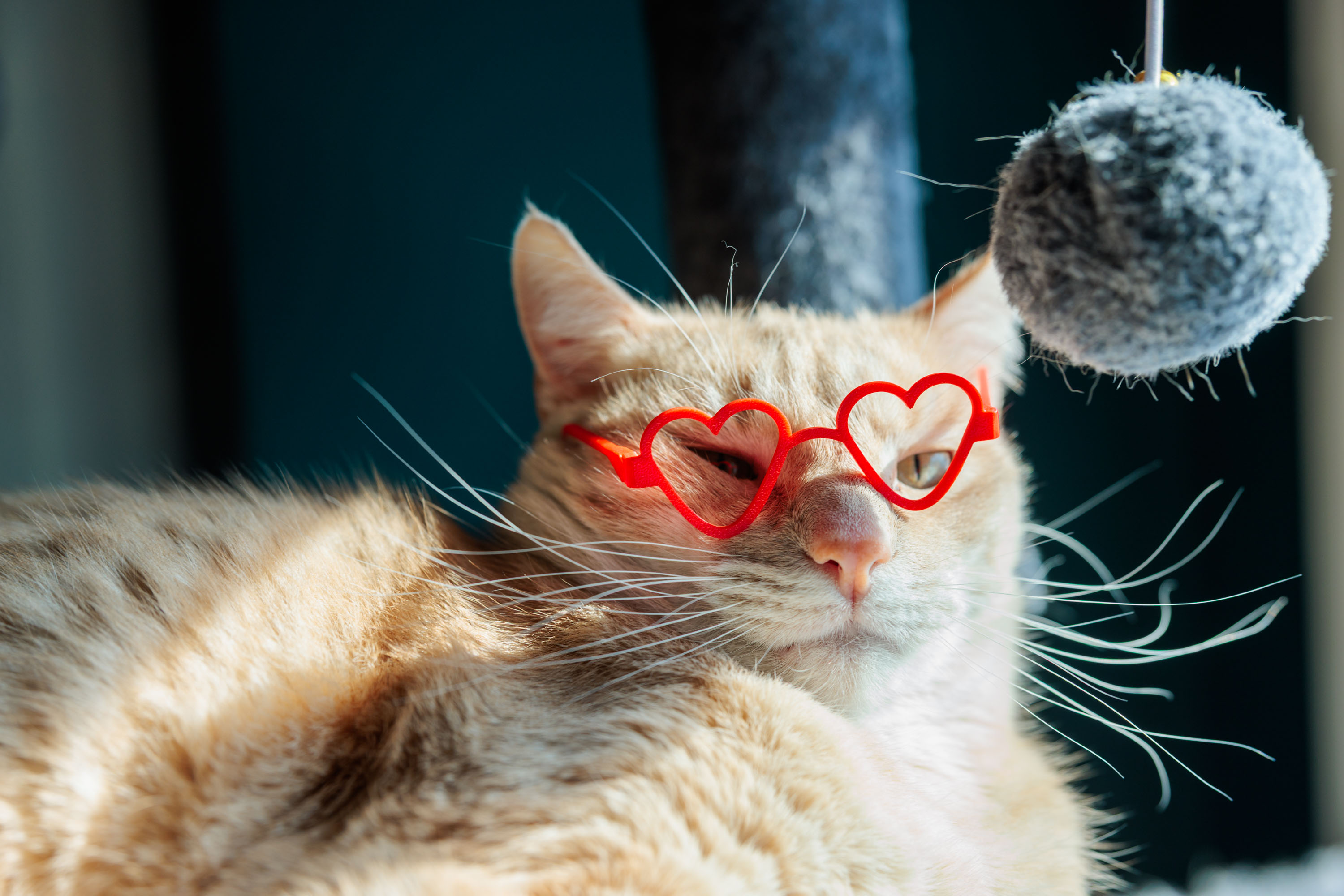 Heart Glasses — miniatura 4