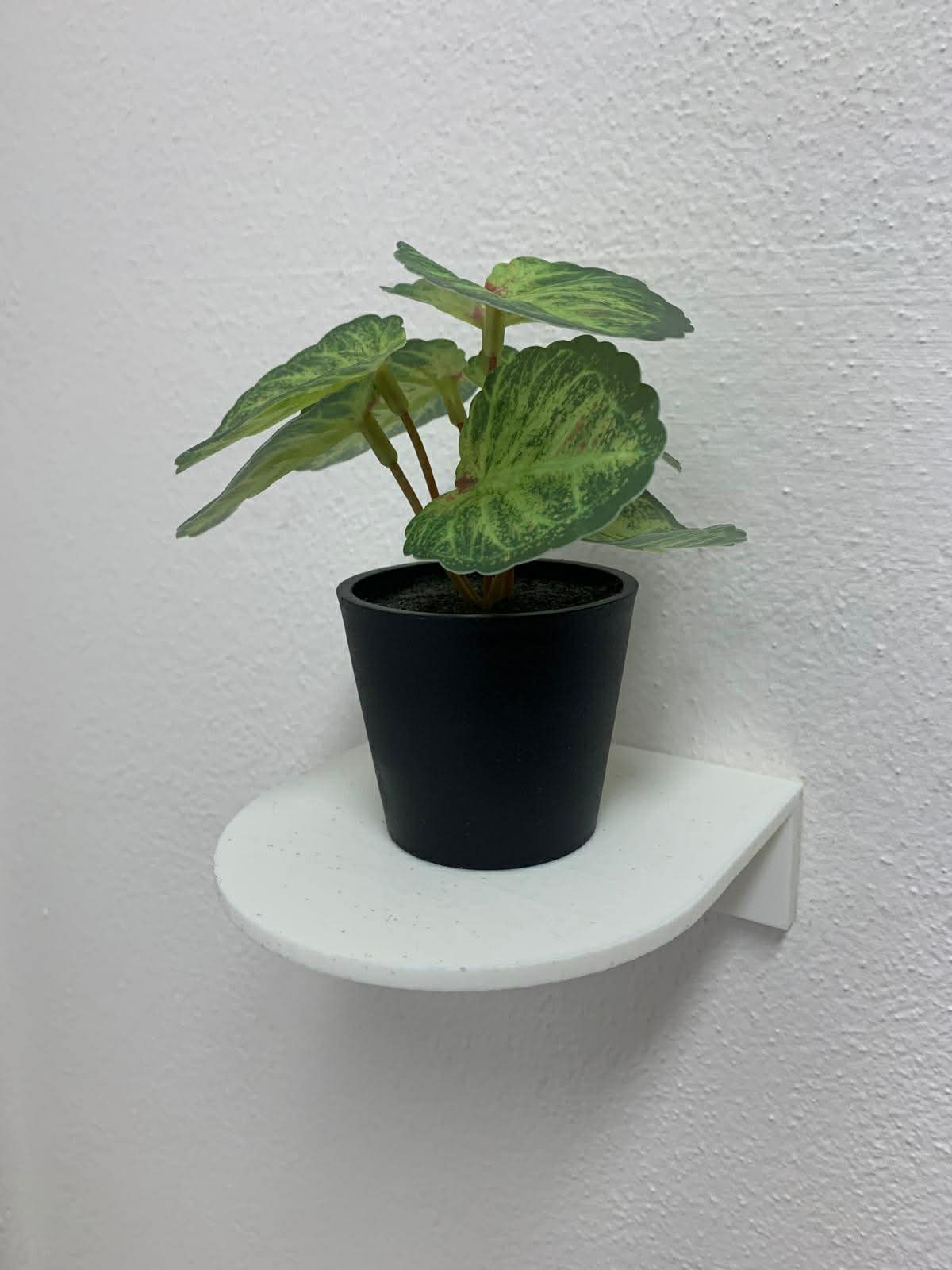 Wall shelf with hidden anchoring