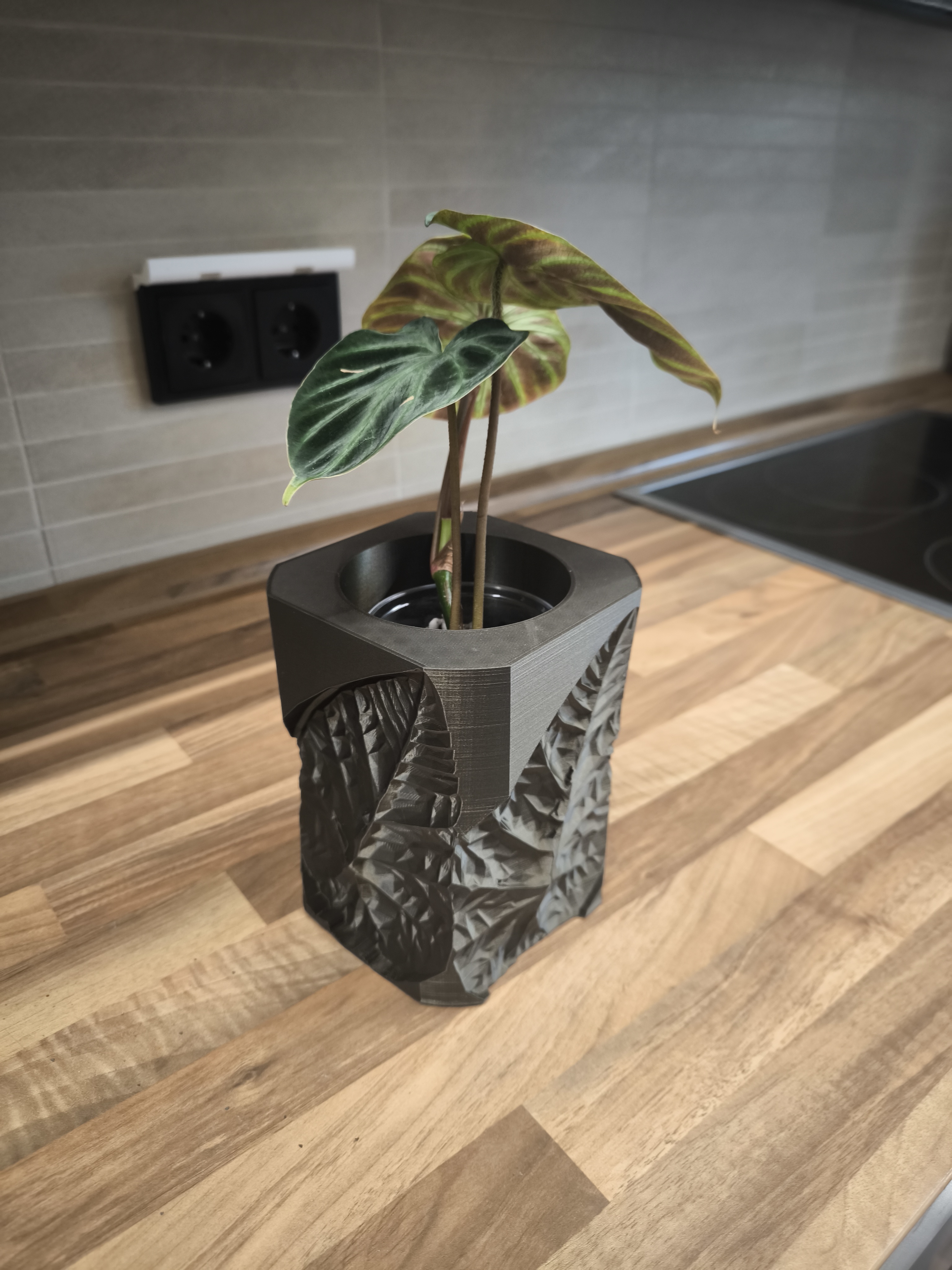 Blumentopf — miniatura 2