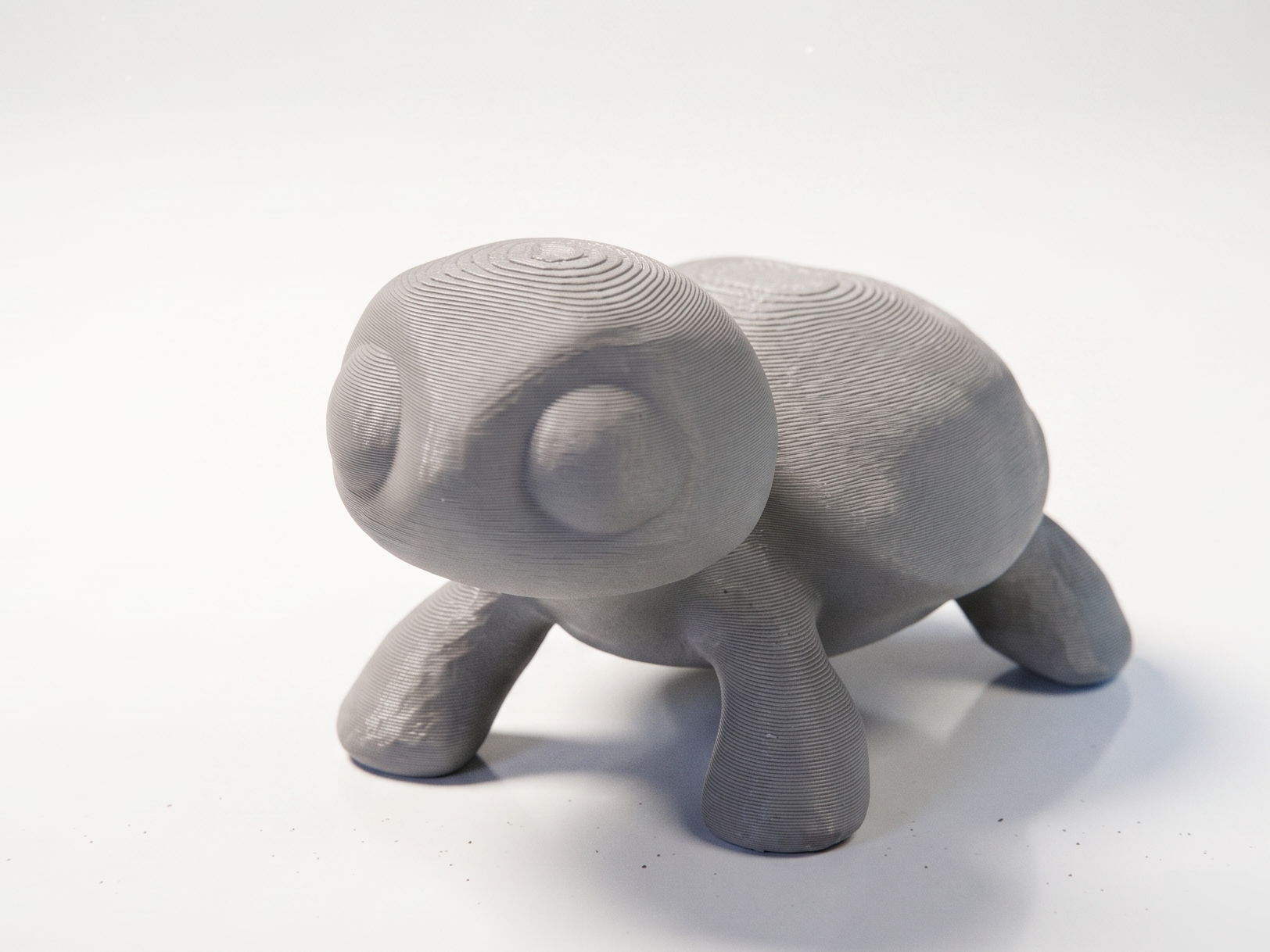 Tortoise — miniatura 2
