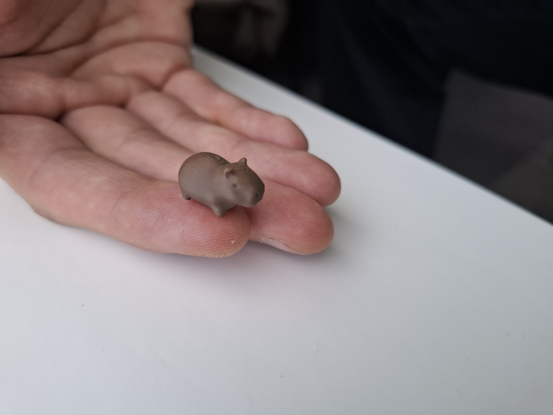 Mini capybara buddy — miniatura 4