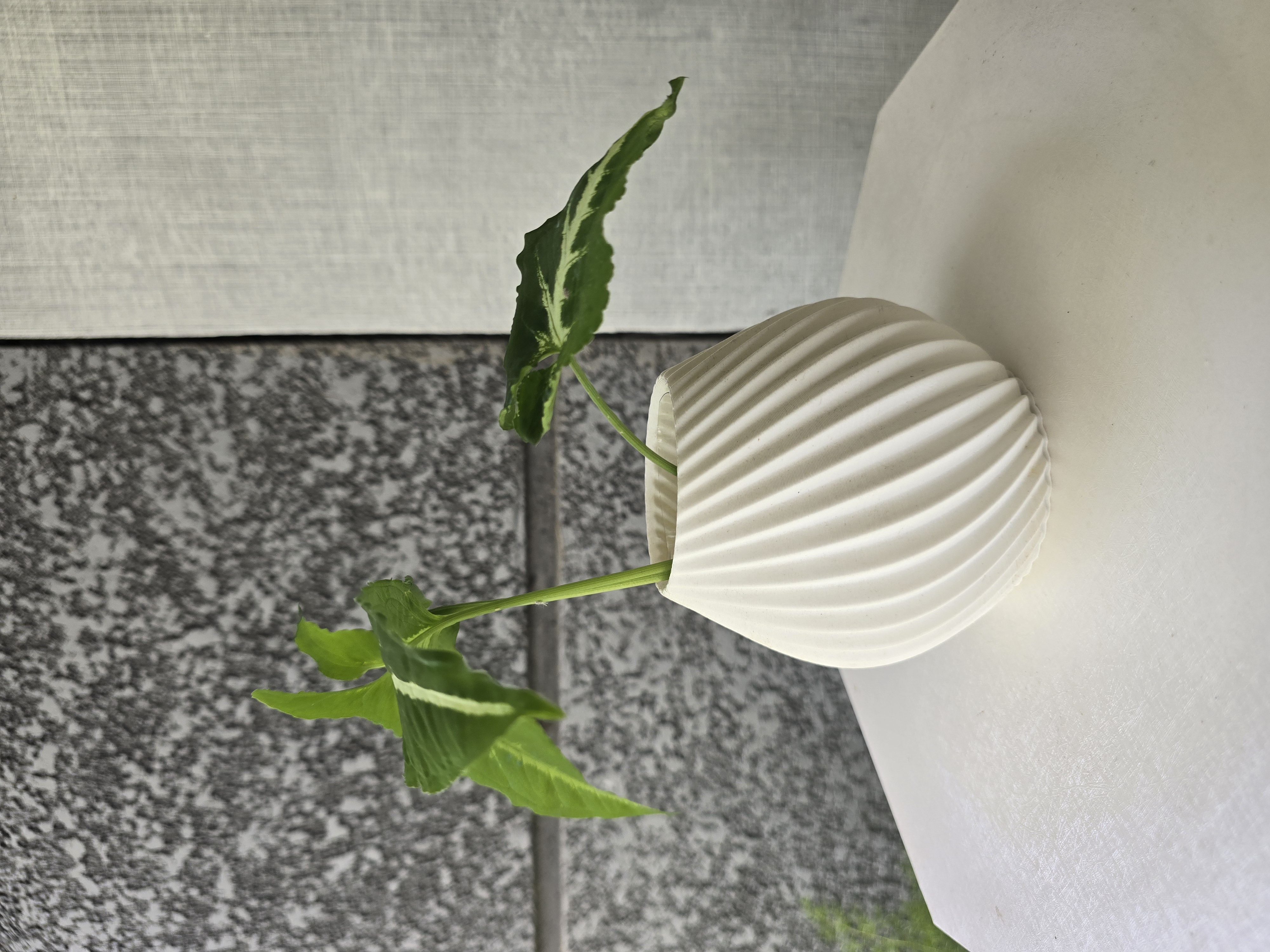 Swirl vase design