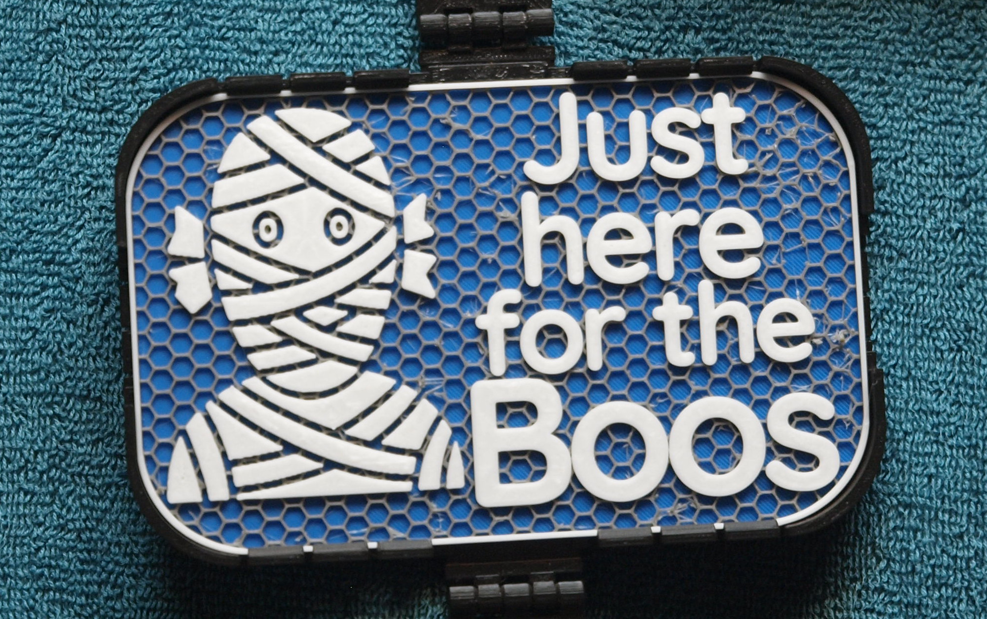 Just here for the Boos sign