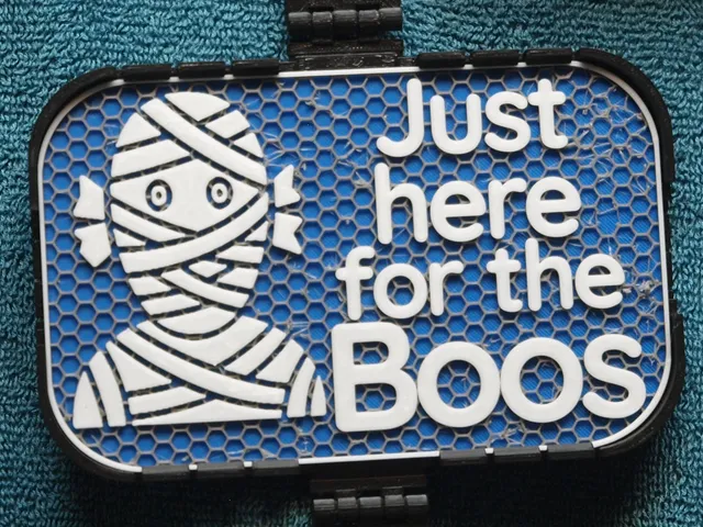 Just here for the Boos sign