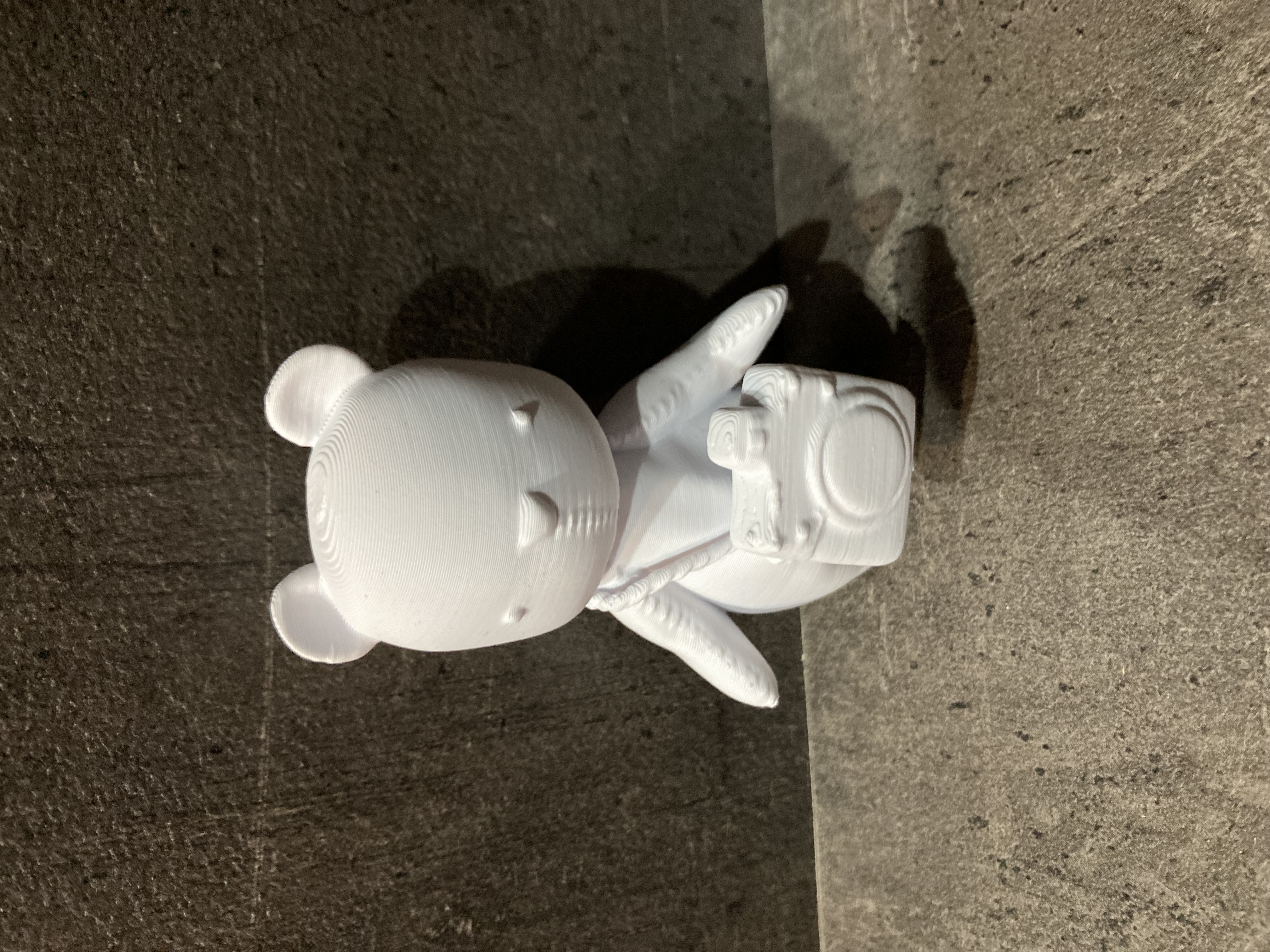 Orsetto Fotografo 3D model