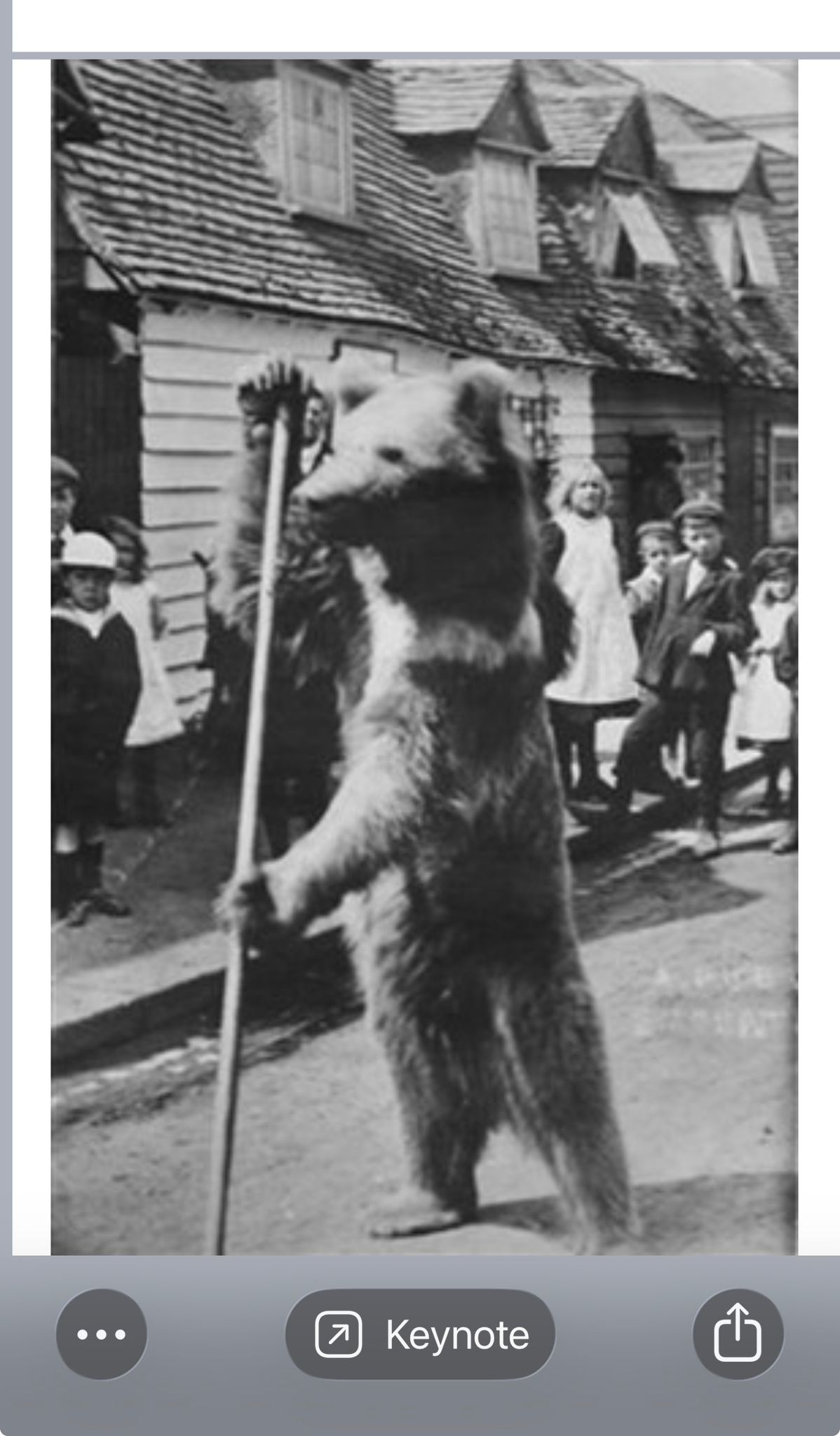 Rochford Dancing Bear (c.1870-1890) – Historic Photo to 3D Print 3D model