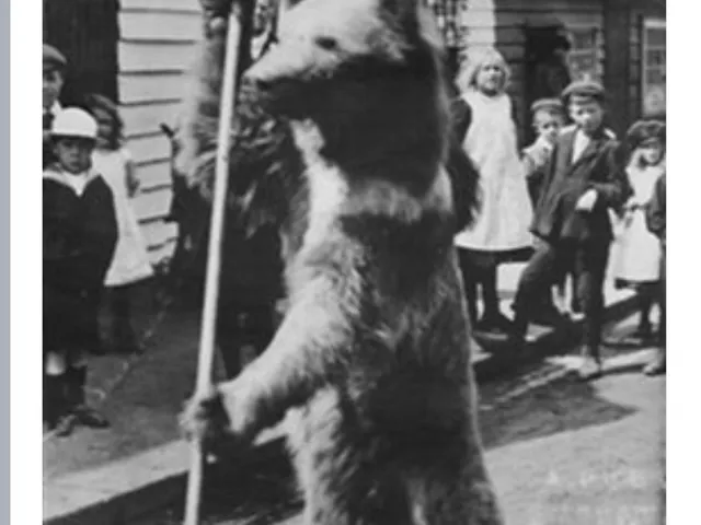 Rochford Dancing Bear (c.1870-1890) – Historic Photo to 3D Print
