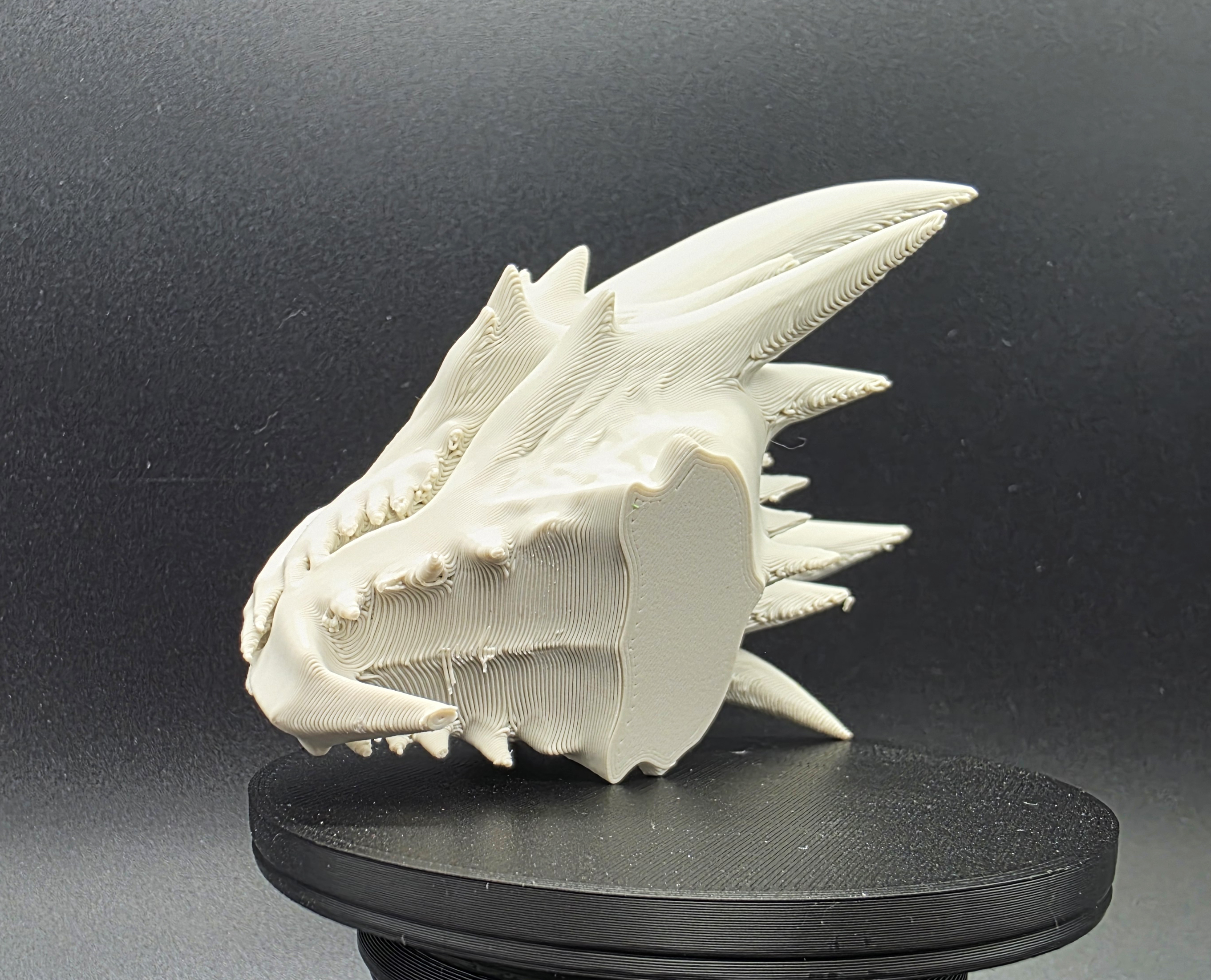 Miniatura 6 do modelo 3D Dragonkin Skull
