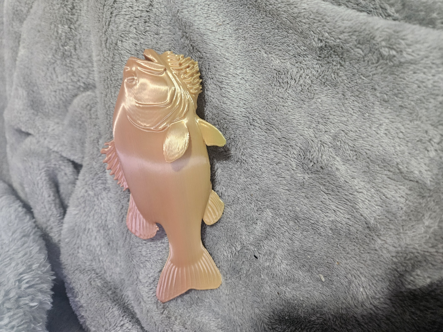 Bearded Bass