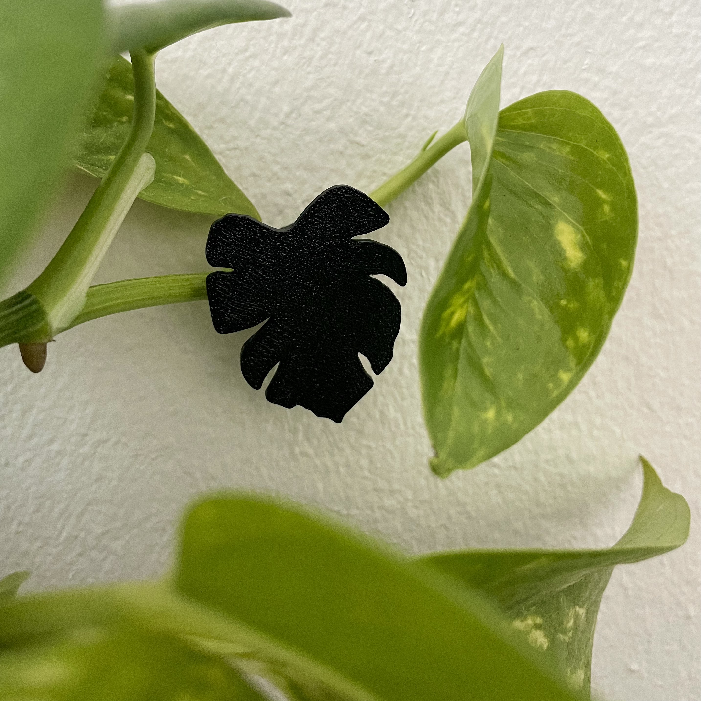 PLANT CLIP  - wall mount (3 Designs)
