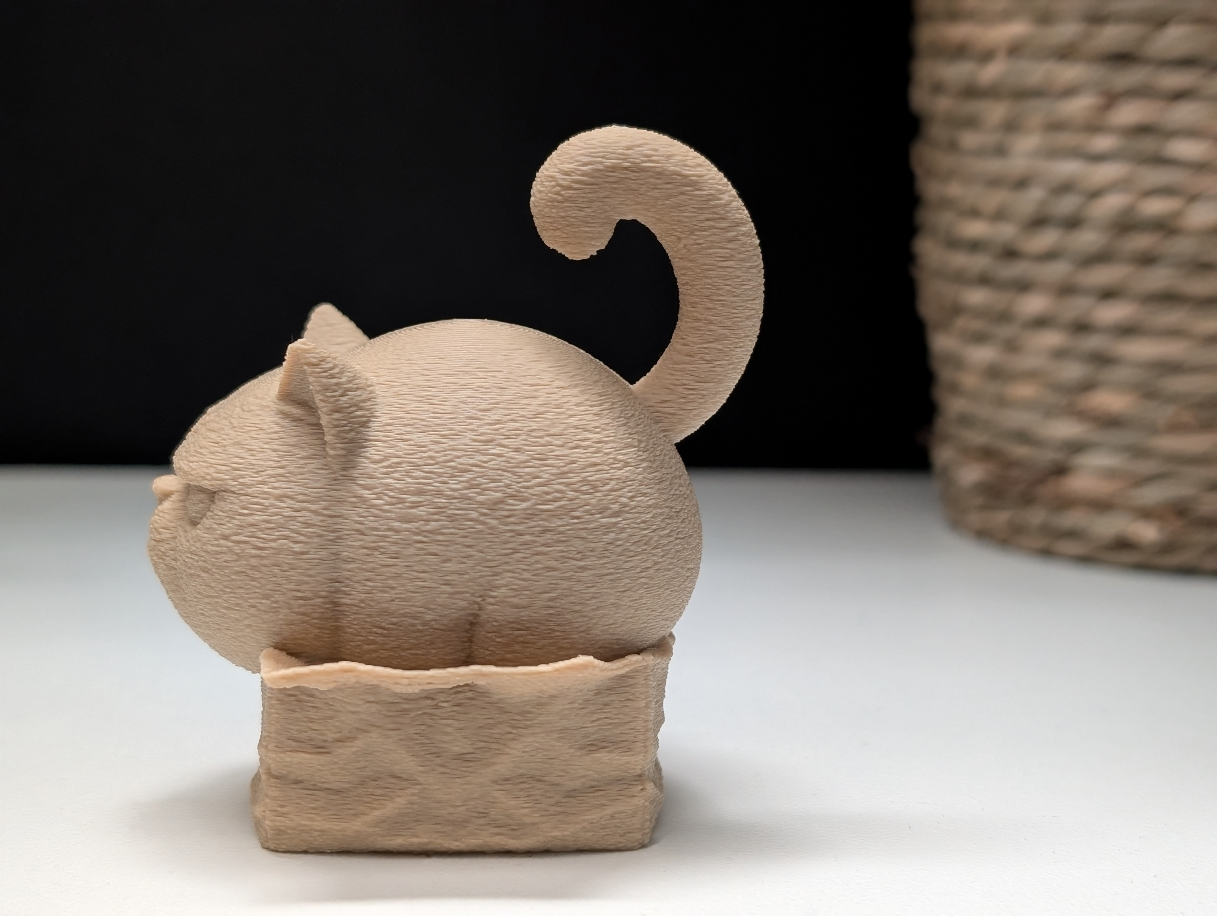 Miniatura 8 do modelo 3D Grumpy Cat "in" a Box