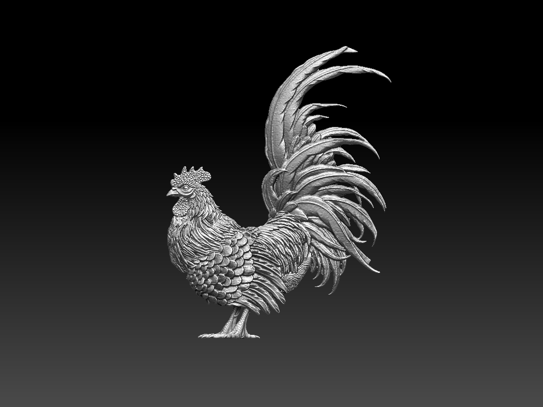 rooster — thumbnail 2