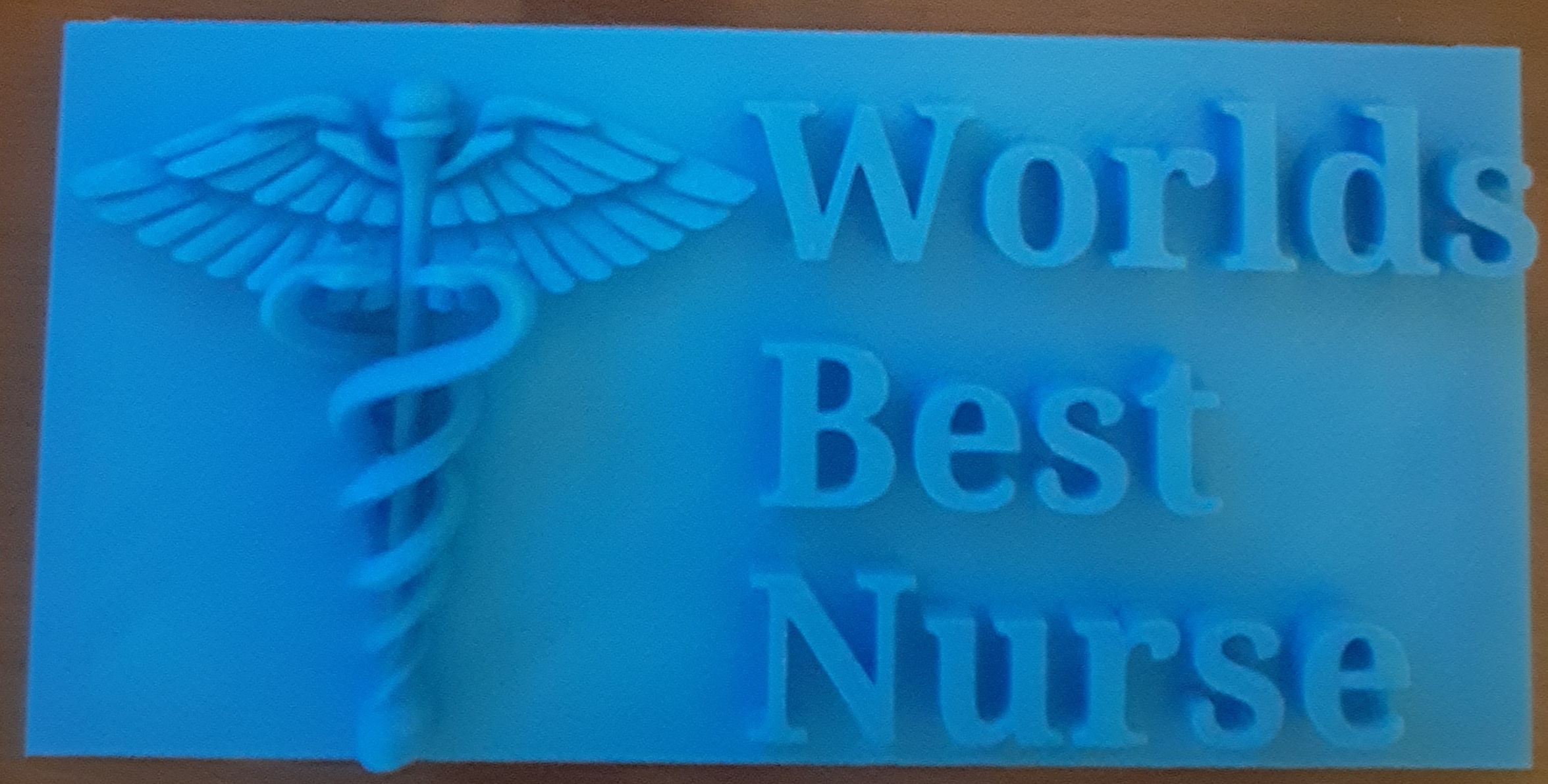 Worlds Best Nurse