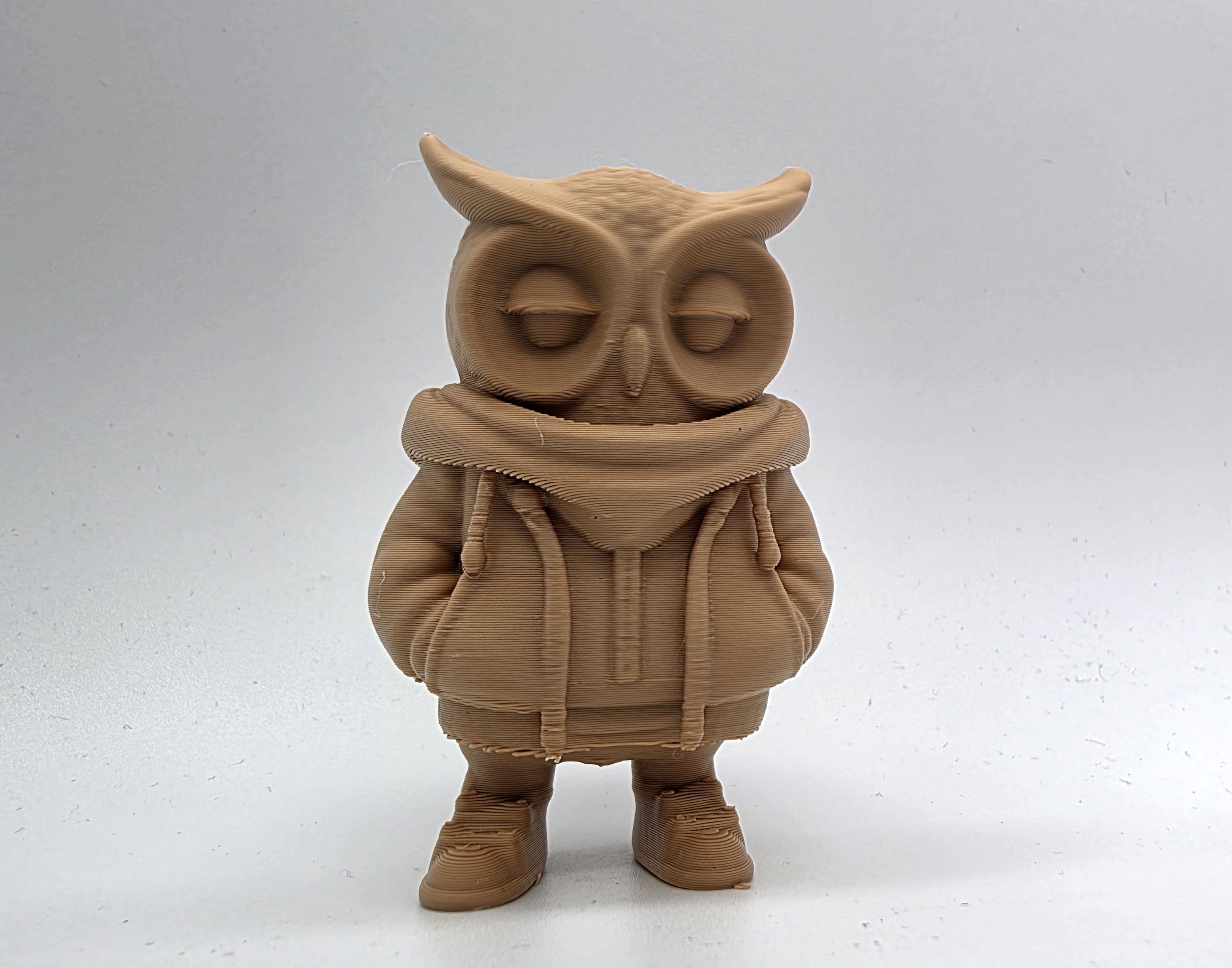 Hoodie Owl