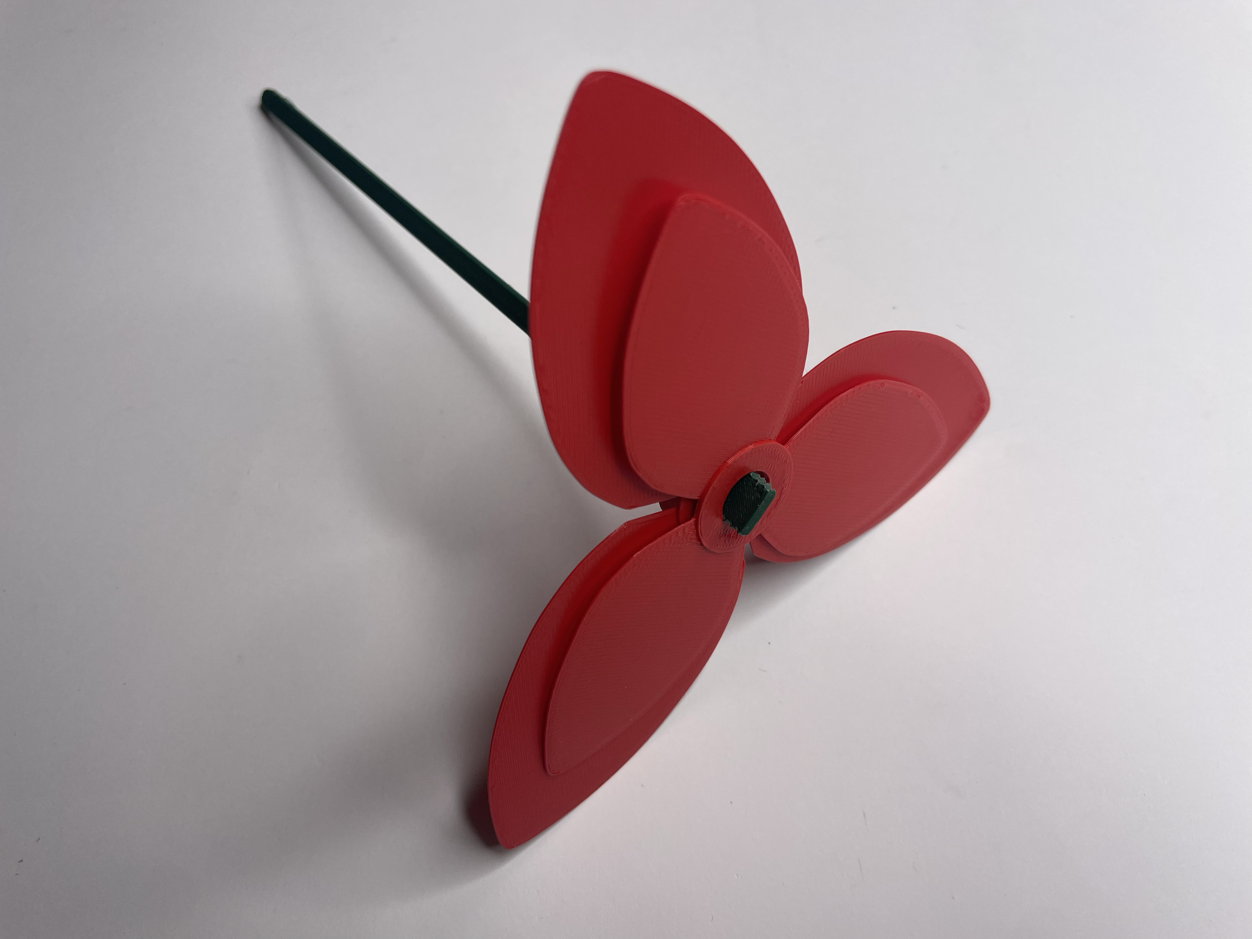 Tulip — thumbnail 7