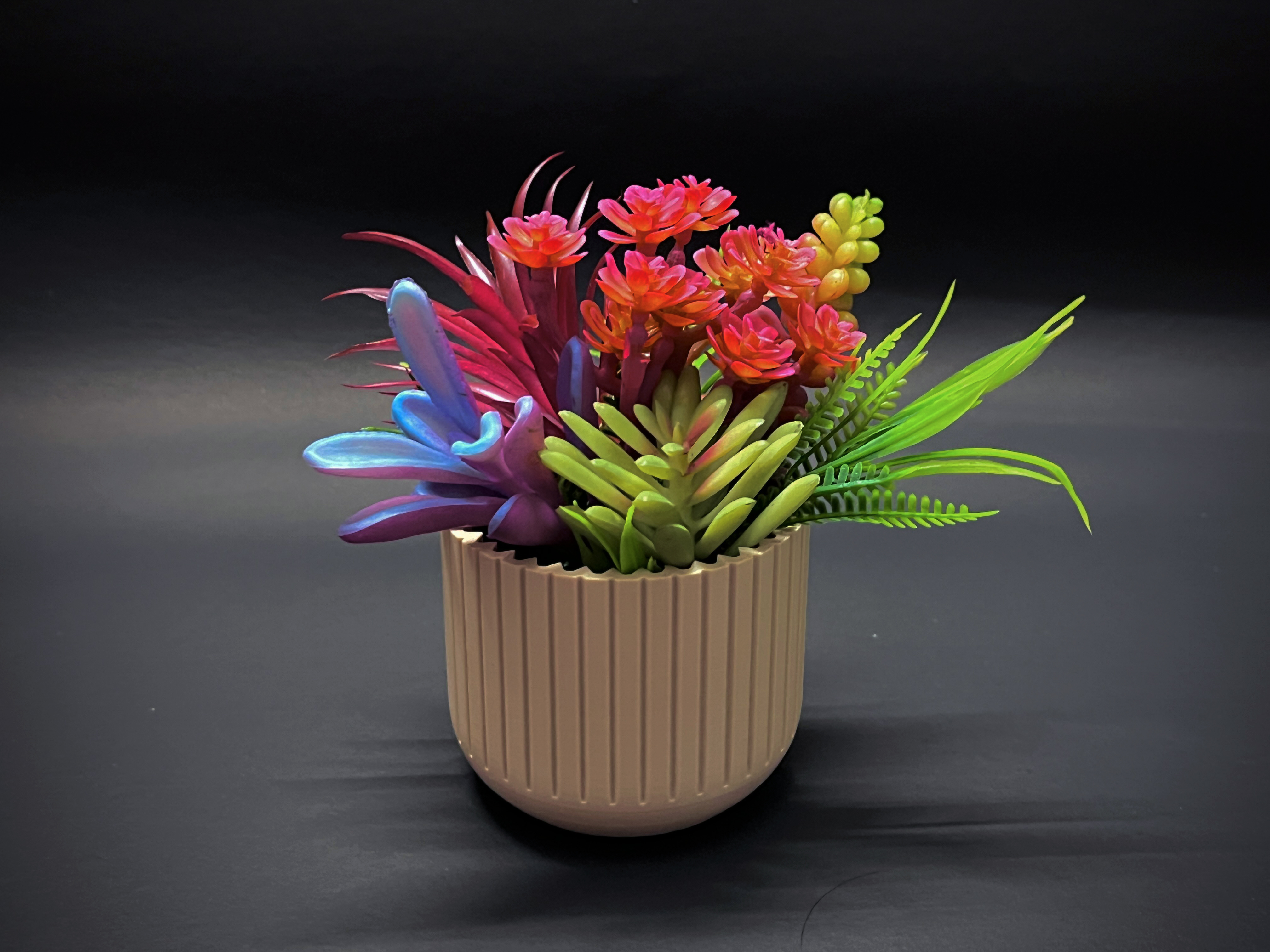 Vase for succulent