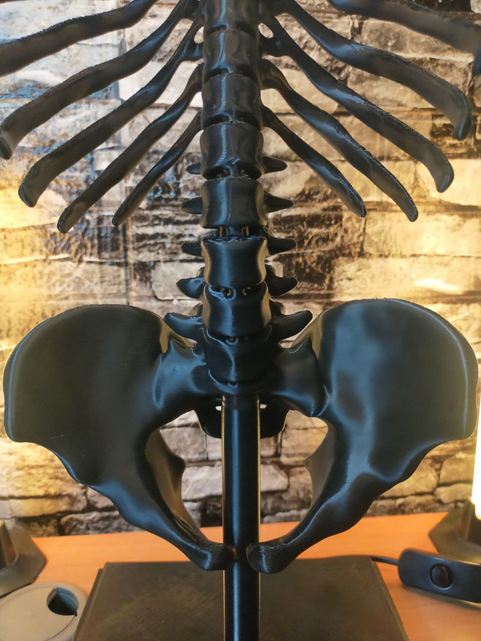 Miniatura 9 do modelo 3D HUMAN SKELETON LAMP