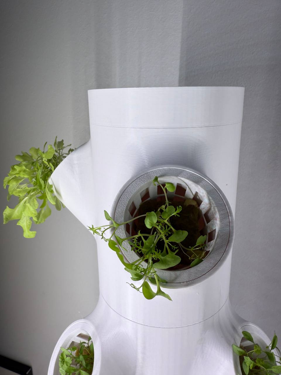 Miniatura 13 do modelo 3D smart modular hydroponic tower