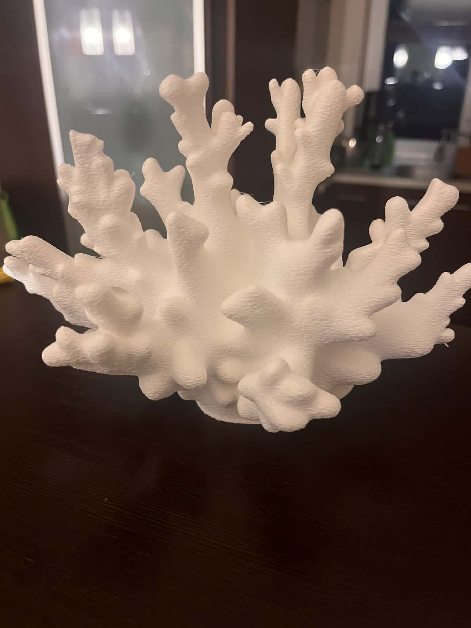 Coral decoration