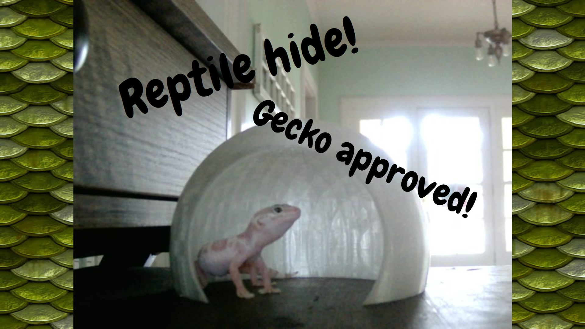 reptile hide