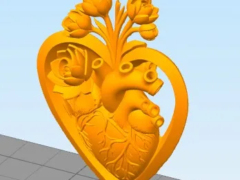 cuore-mod.a11