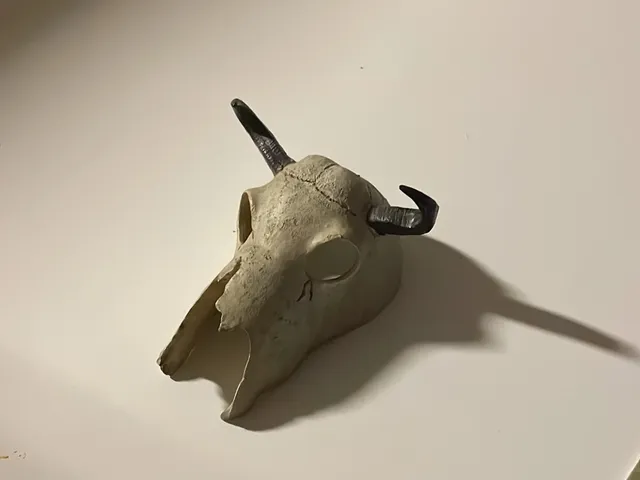 skull
