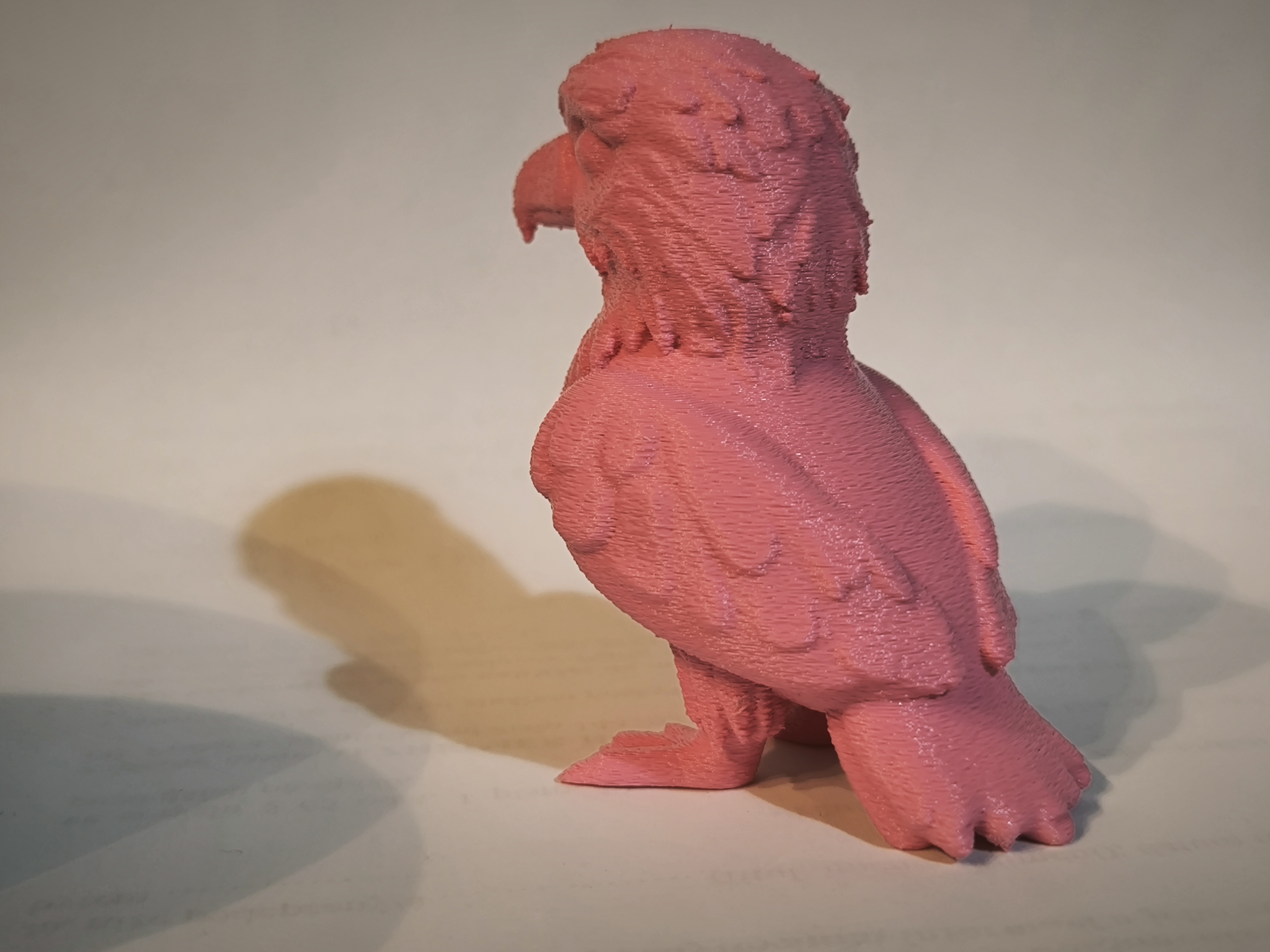 Miniatura 5 do modelo 3D Cute baby Eagle