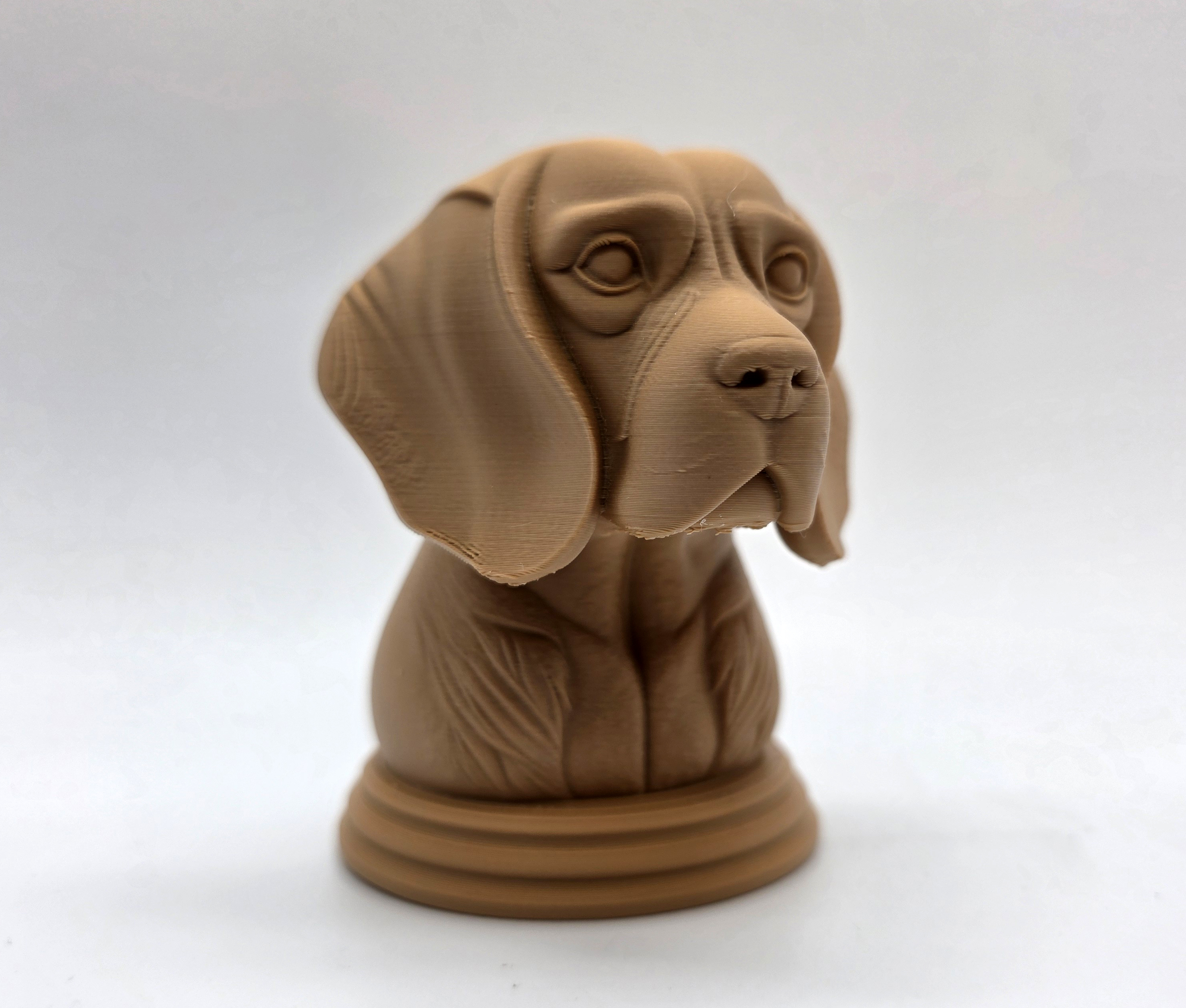 Beagle Bust