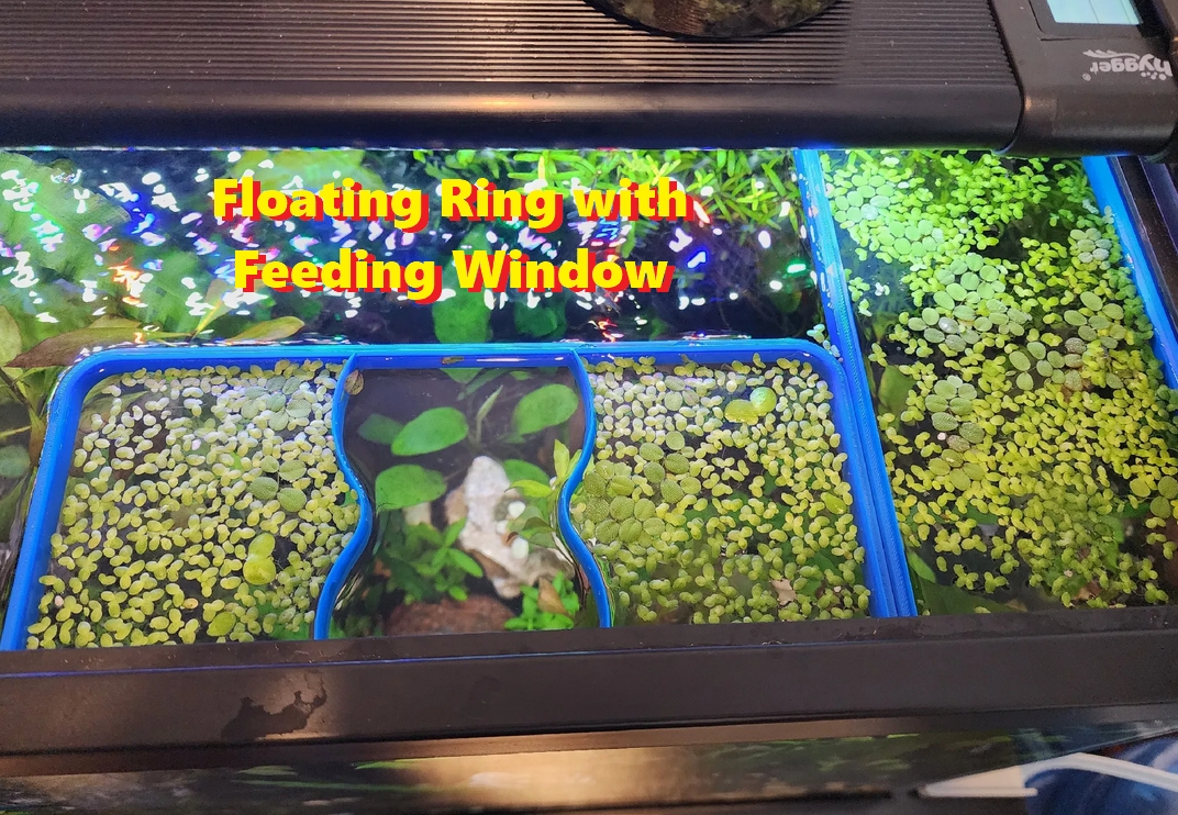 #0210 Rectangular Floating Ring (with feeding window)