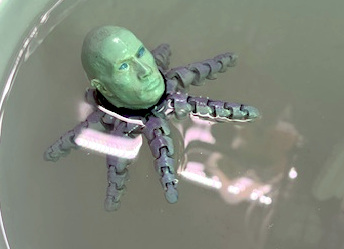 Rocktopus Bob (floatable)