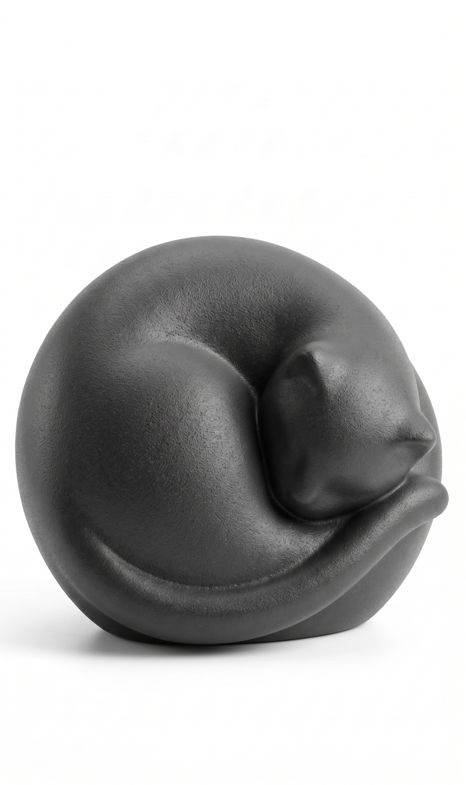 Minimalist Curled Sleeping Cat 3D model