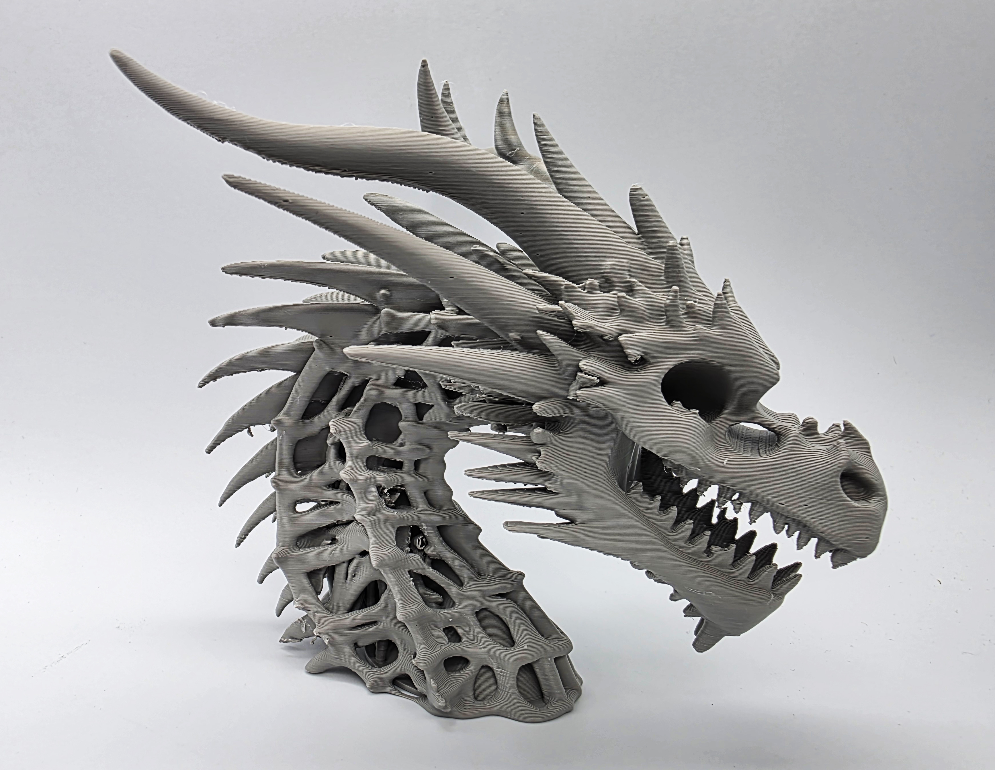 Skeletal Dragon Bust 3