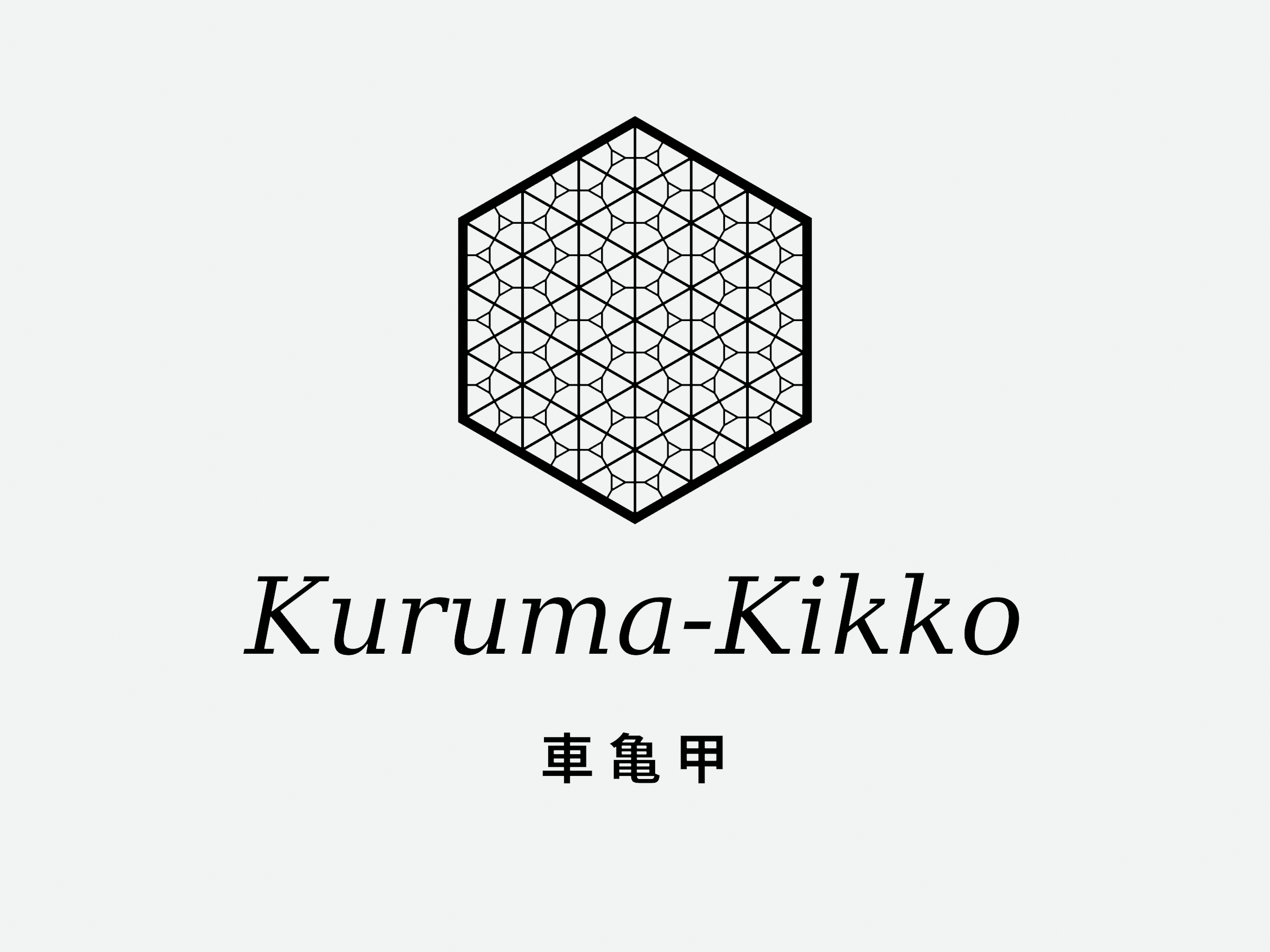 Miniatura 8 do modelo 3D Kumiko Coasters - Hexagonal