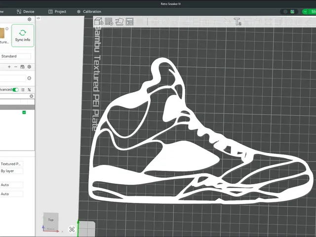 Jordan V (5) Wall art